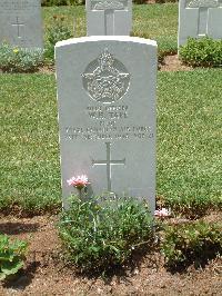 Medjez-El-Bab War Cemetery - Tape, William Henry